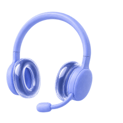 Ongoing licence maintenance&nbsp;support